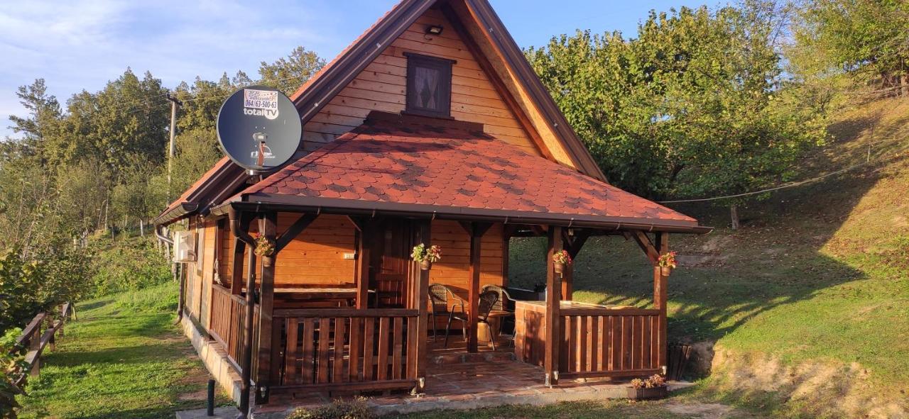 Villa Brvnara na bregu Bajina Basta Exterior foto
