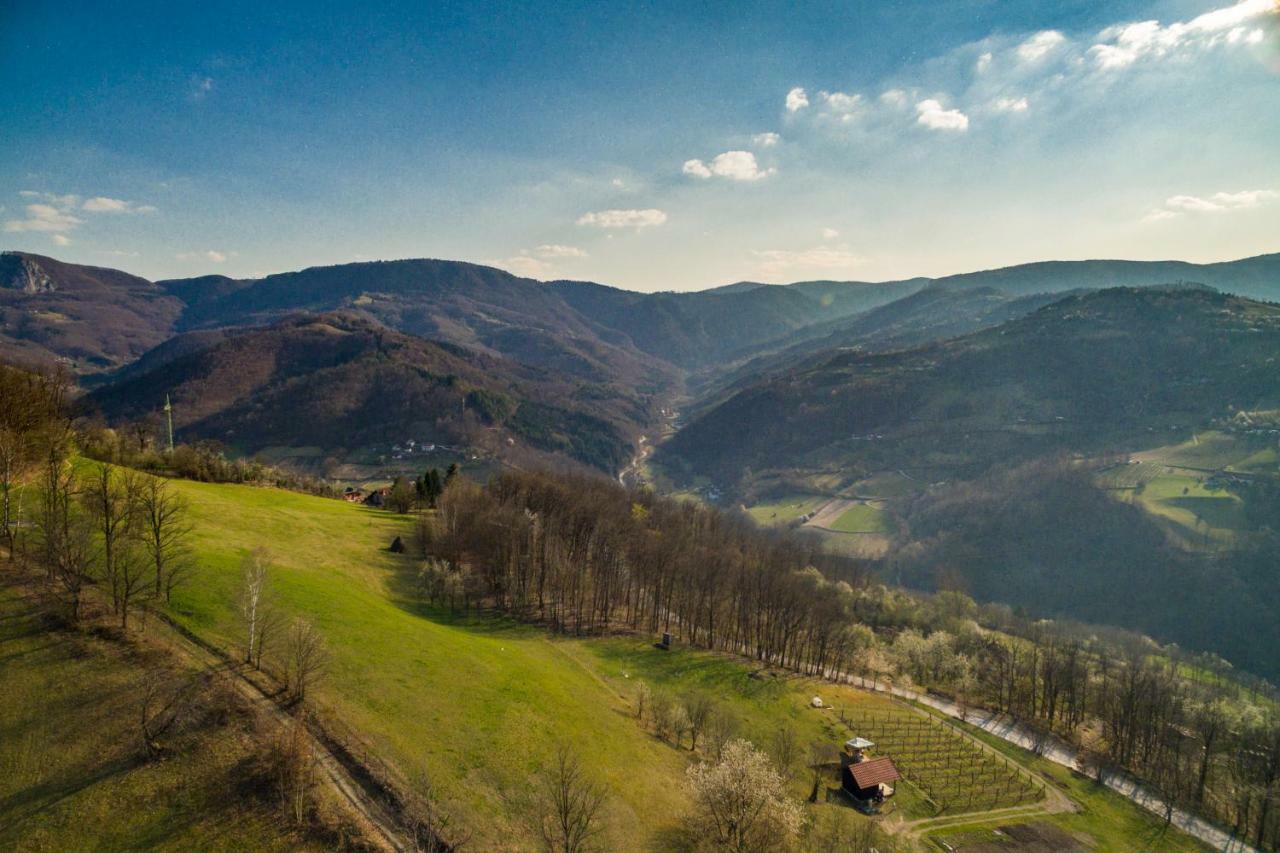 Villa Brvnara na bregu Bajina Basta Exterior foto